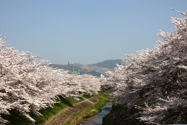 大宮橋から若草山への眺望