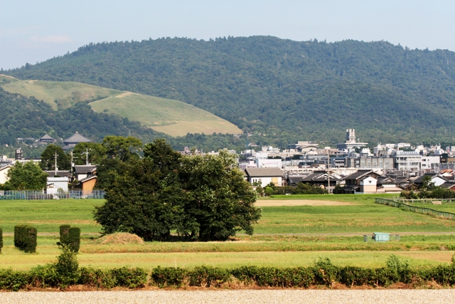 平城宮跡から東大寺大仏殿、若草山等の山並みへの眺望