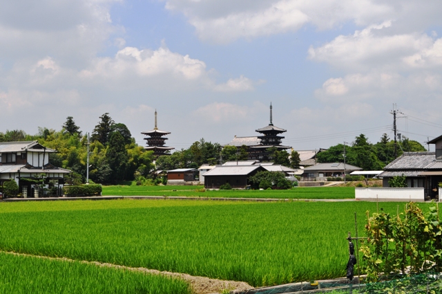 秋篠川堤防から薬師寺三重塔への眺望