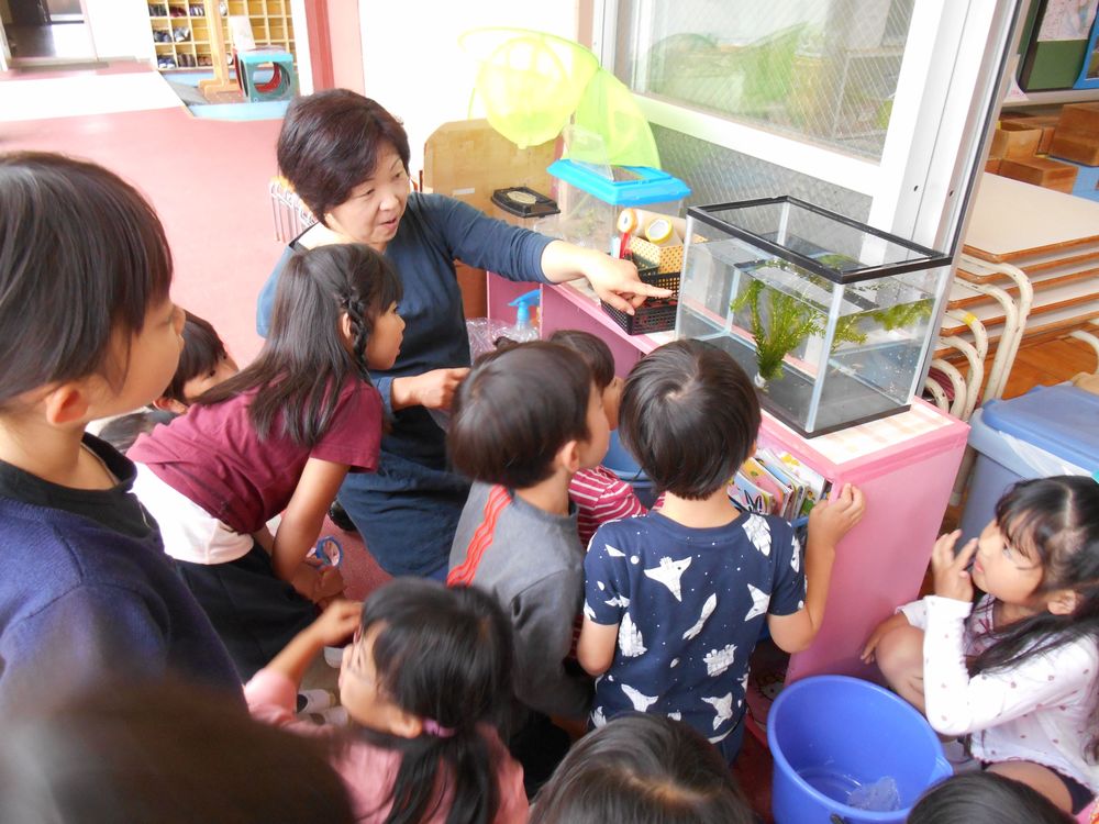 5月9日（水曜日）「メダカさん、こんにちは。よろしくね！」の画像1