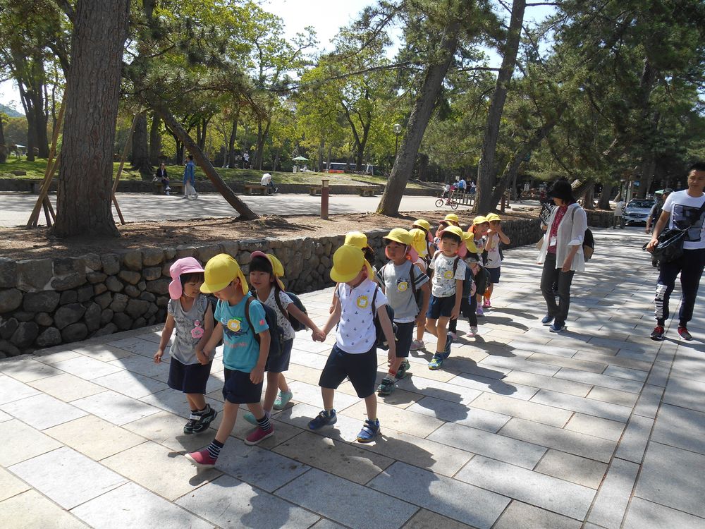 5月15日（火曜日）「大仏様をみたり、若草山に登ったよ」の画像2