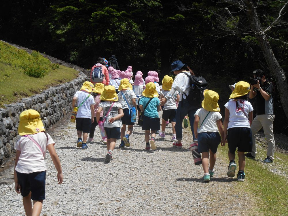 5月15日（火曜日）「大仏様をみたり、若草山に登ったよ」の画像6