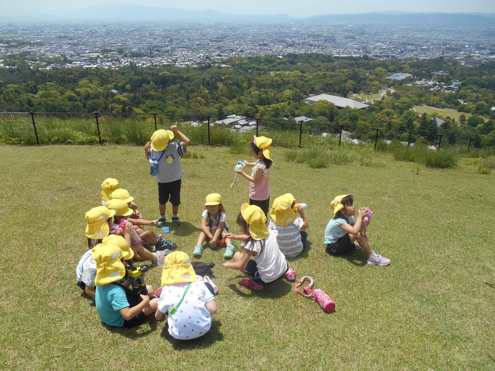 5月15日（火曜日）「大仏様をみたり、若草山に登ったよ」の画像7