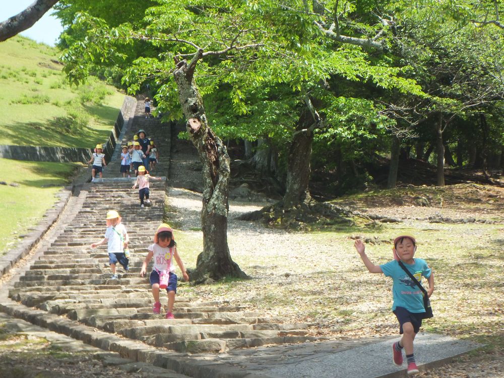 5月15日（火曜日）「大仏様をみたり、若草山に登ったよ」の画像8