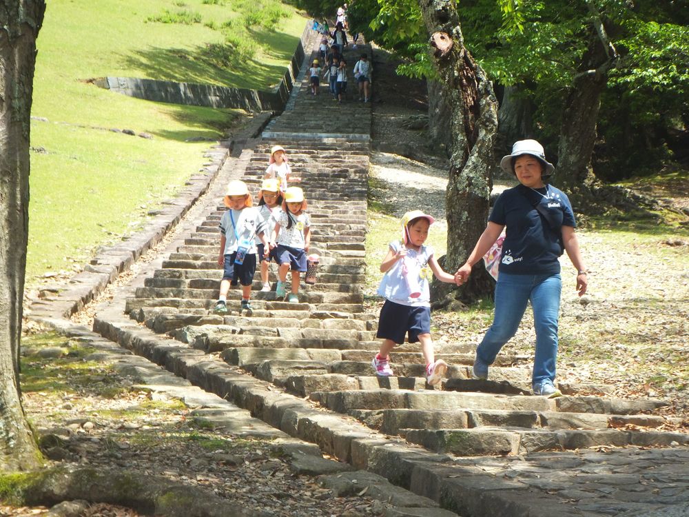 5月15日（火曜日）「大仏様をみたり、若草山に登ったよ」の画像9