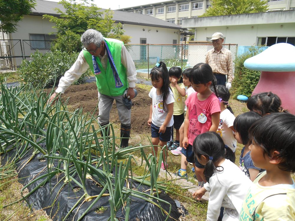 5月16日（火曜日）「ねえ、玉ねぎっていつ収穫できるの？」の画像1