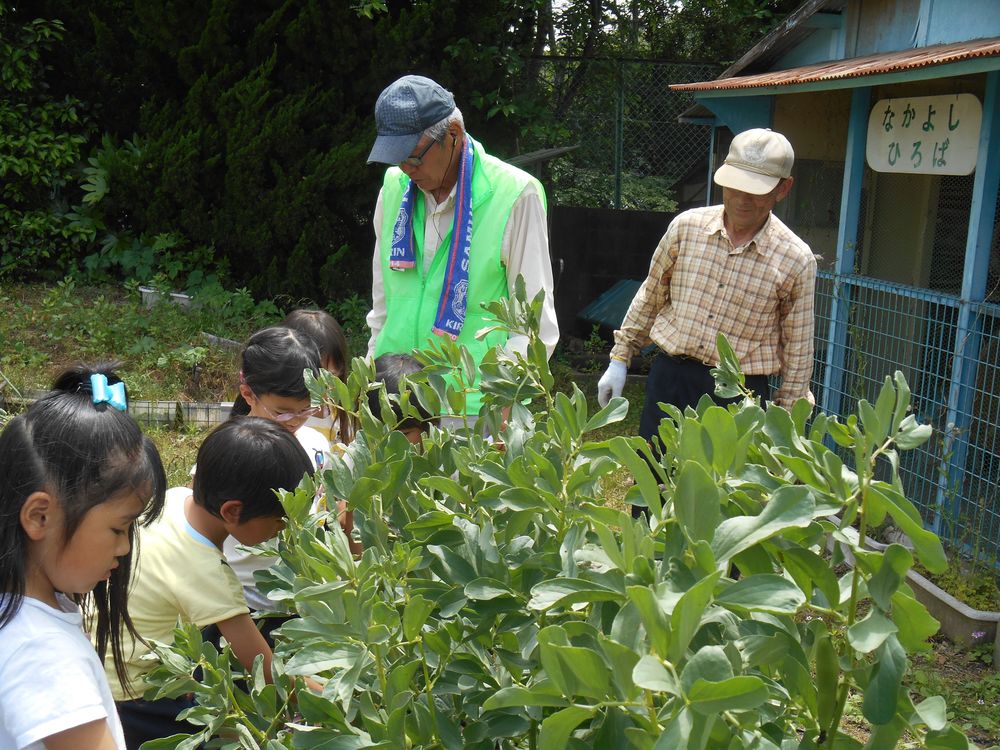 5月16日（火曜日）「ねえ、玉ねぎっていつ収穫できるの？」の画像2