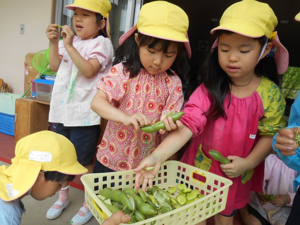 5月17日「そら豆を収穫しよう！わあ、何これ？」の画像4