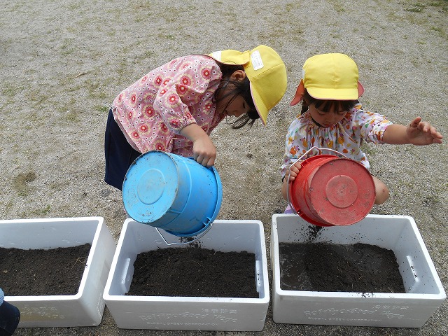 6月1日（金曜日）「お米の赤ちゃんたちってどうやって植えるの？」の画像3