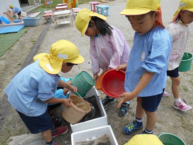 6月1日（金曜日）「お米の赤ちゃんたちってどうやって植えるの？」の画像4