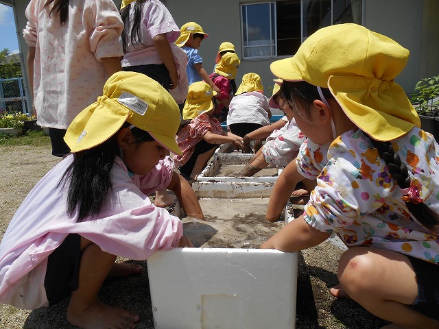 6月1日（金曜日）「お米の赤ちゃんたちってどうやって植えるの？」の画像７