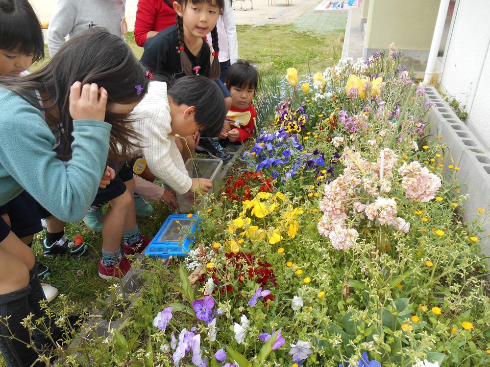 4月17日（火曜日）「カマキリさんのためには、これがいい！！」の画像1