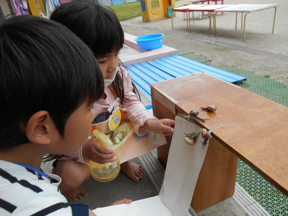 4月25日（水曜日）「カタツムリの滑り台作ろう」の画像1