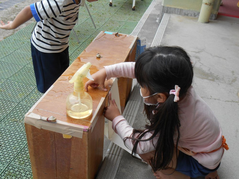 4月25日（水曜日）「カタツムリの滑り台作ろう」の画像2