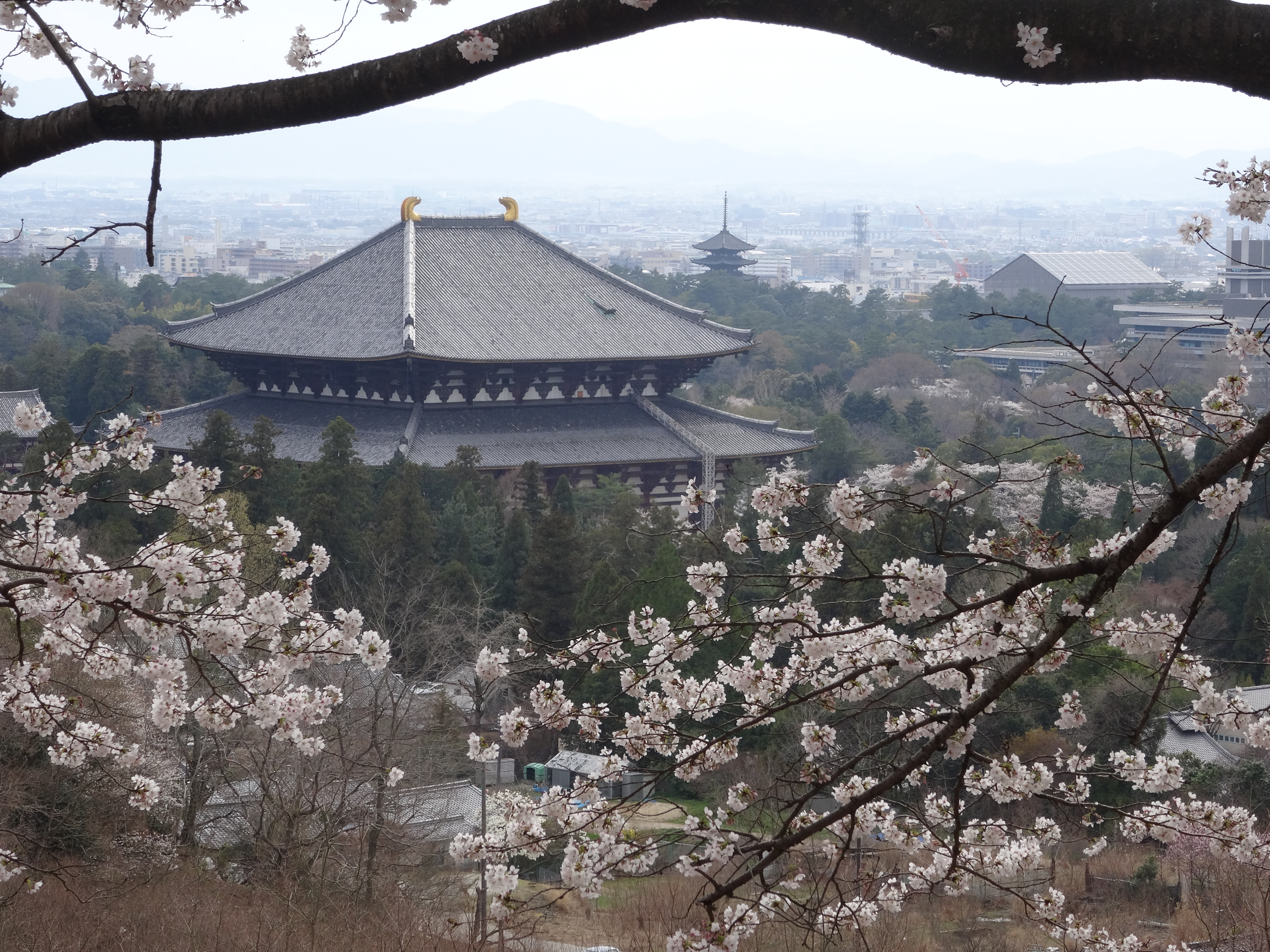 東大寺