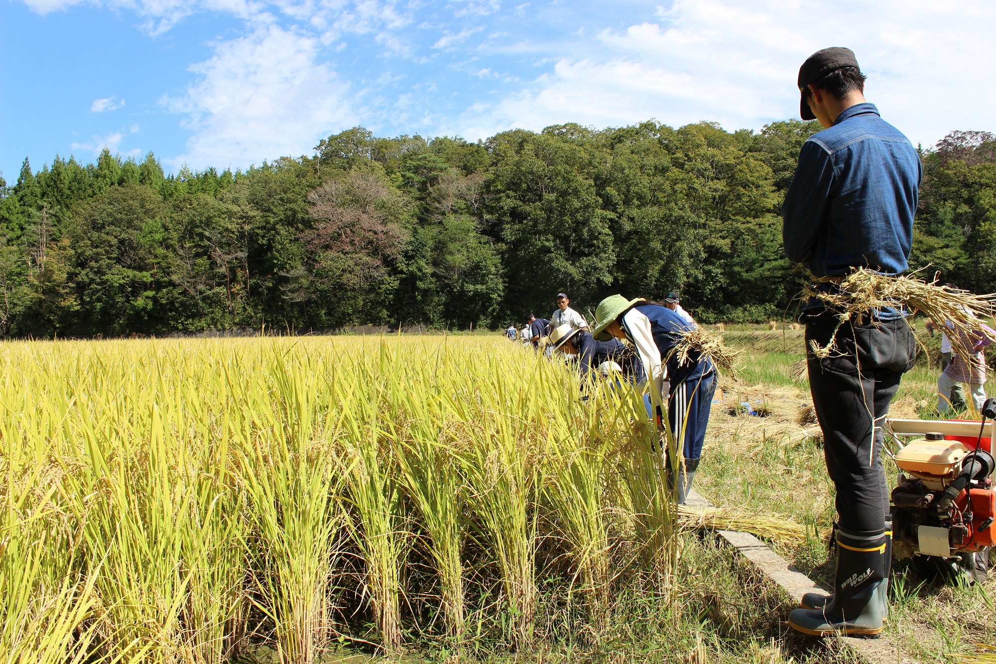 奈良市「どぶろく特区」にて酒類製造免許取得者第1号!(令和元年6月27日発表)の画像