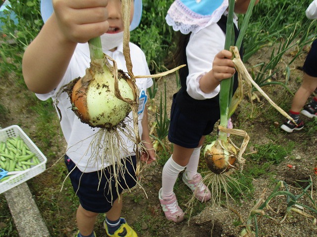 5月の画像4