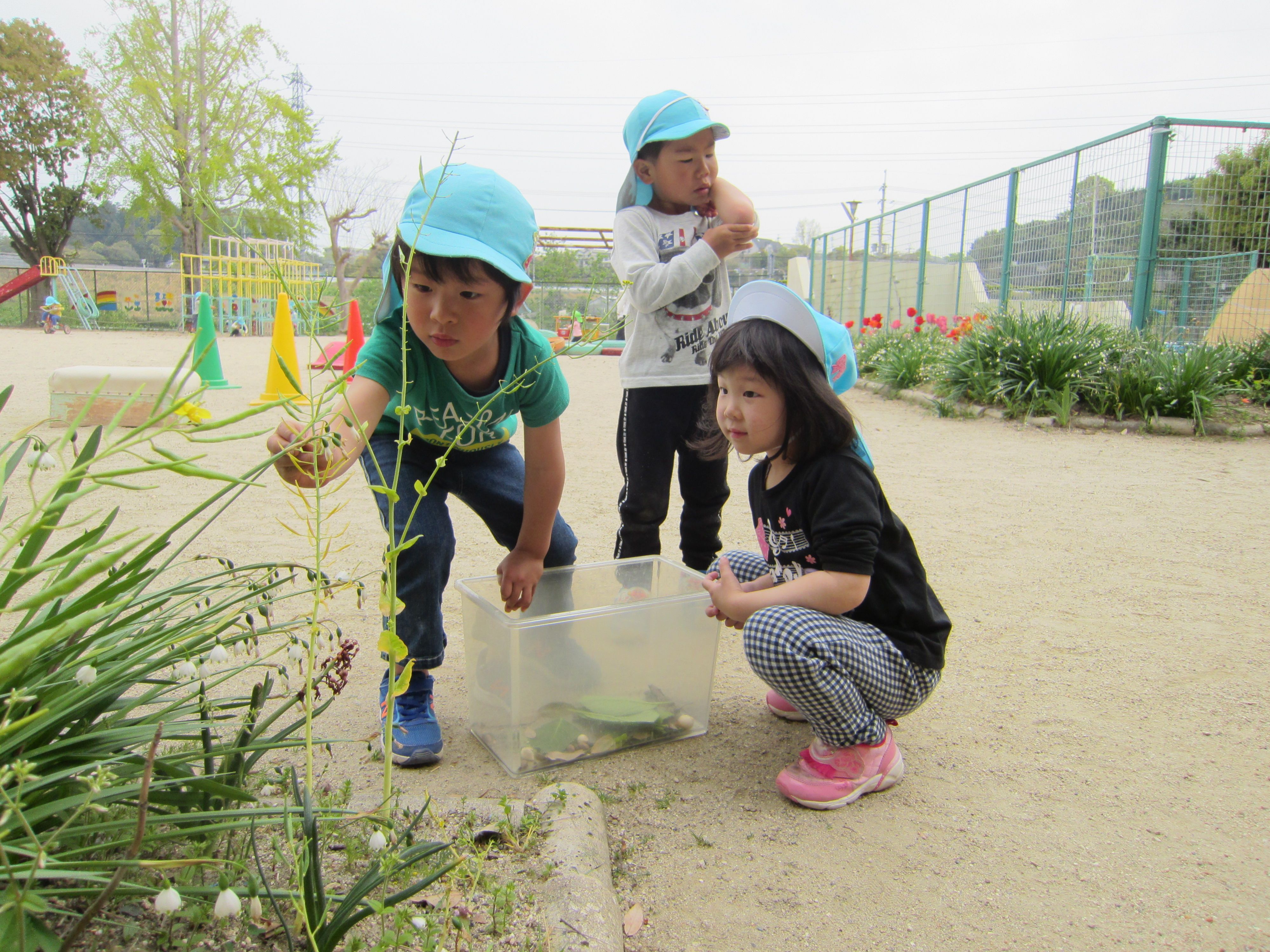 草を触る子供たち