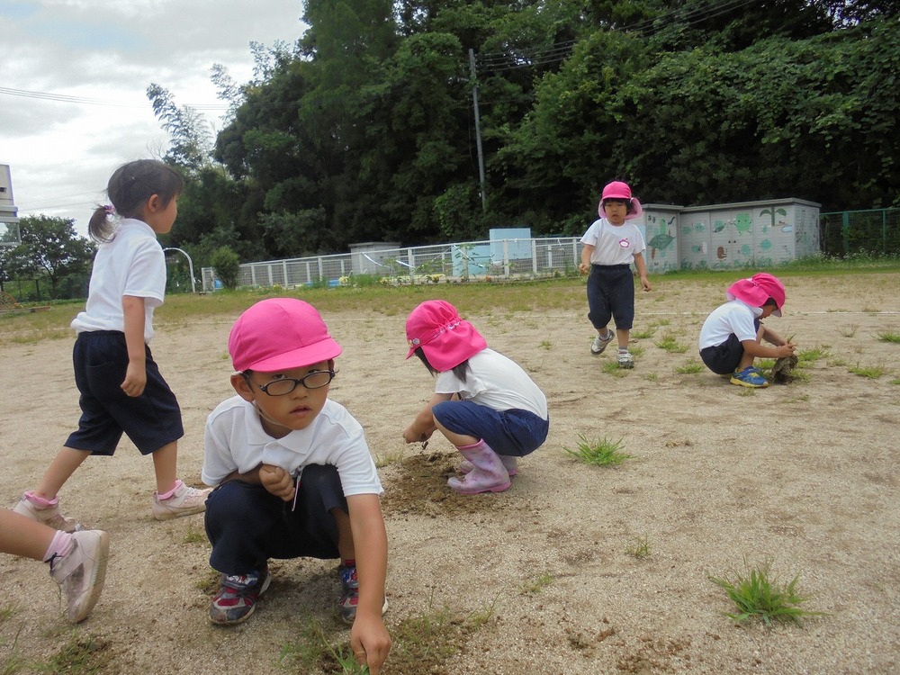 草引きの画像1