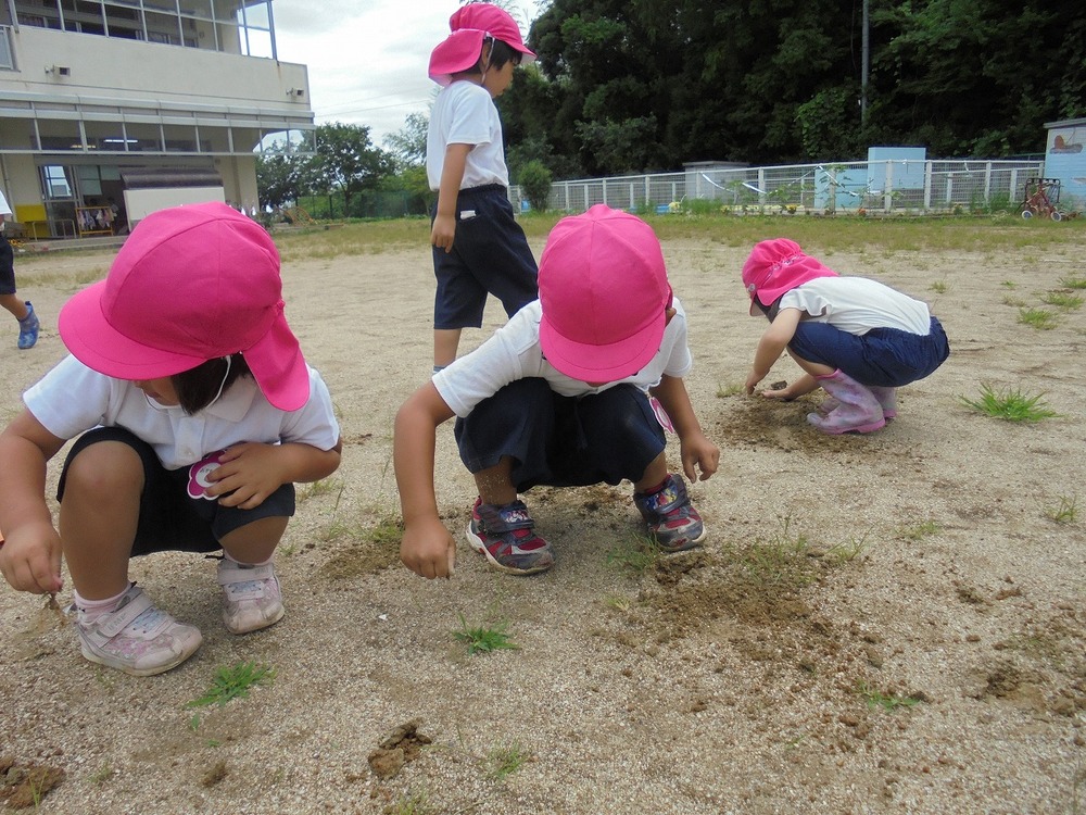 草引きの画像2