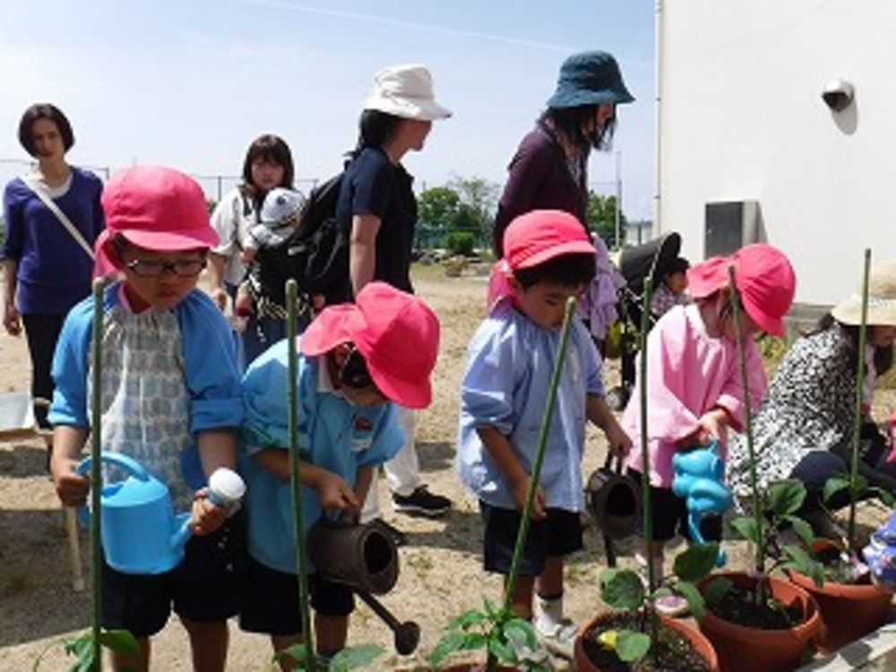 苗植え様子の画像4