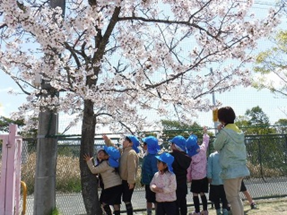 花見の様子の画像1