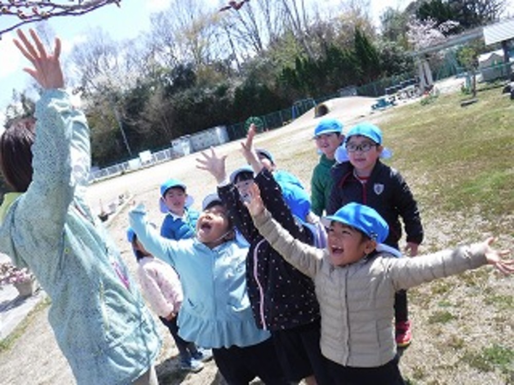 幼稚園の八重桜