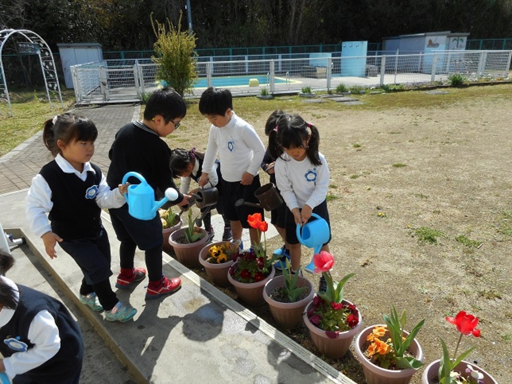 花の水やり