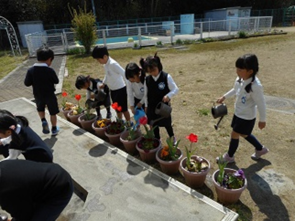 花やりの様子