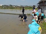 田植えの様子1