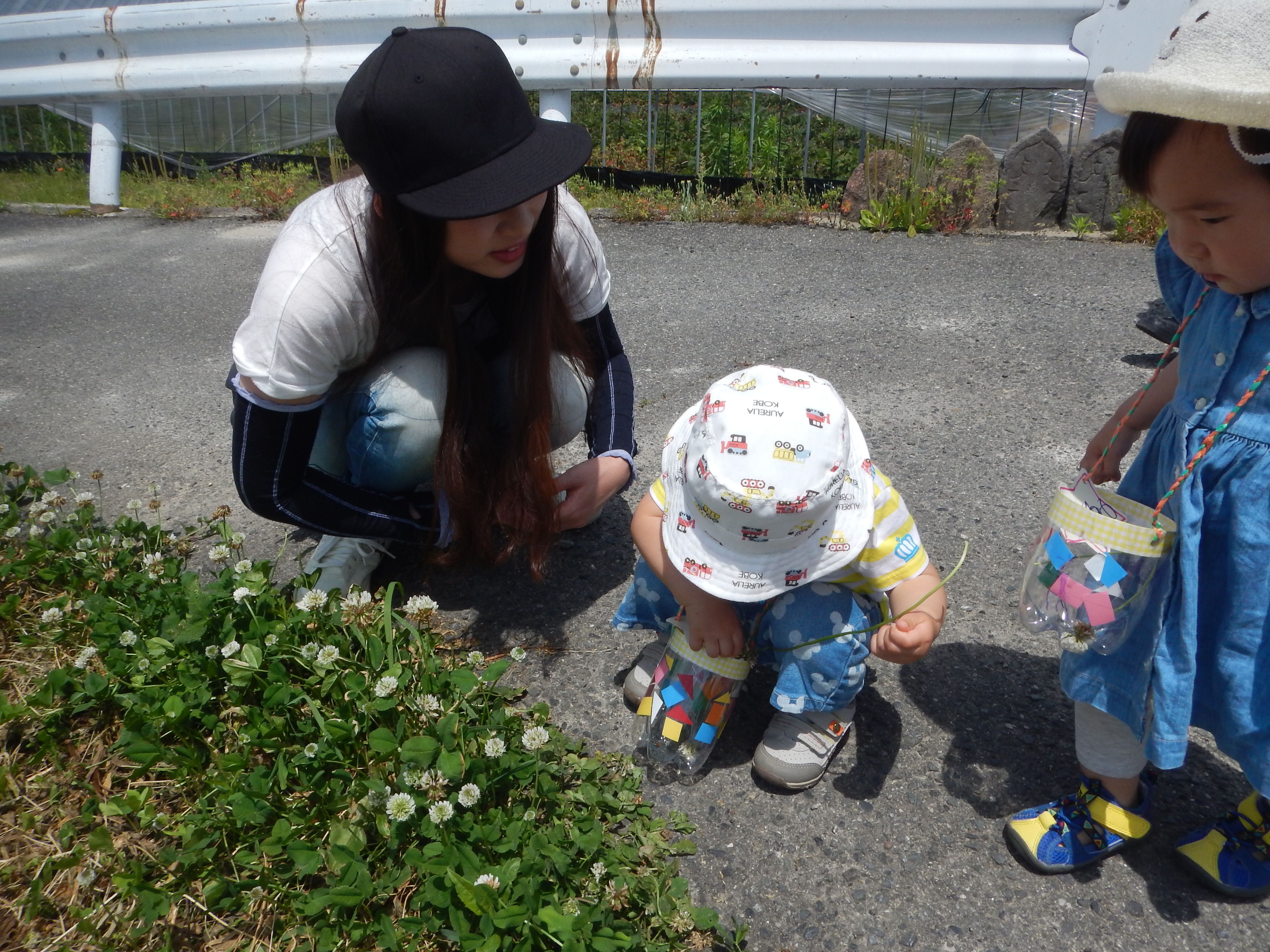 散歩で虫を見つけたよ