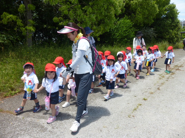 3歳児園外保育（地域の公園）の画像3