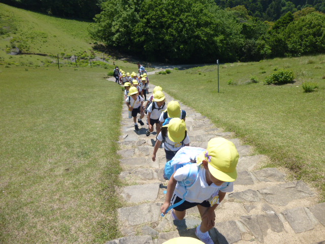 4歳児、5歳児遠足（奈良公園）の画像1
