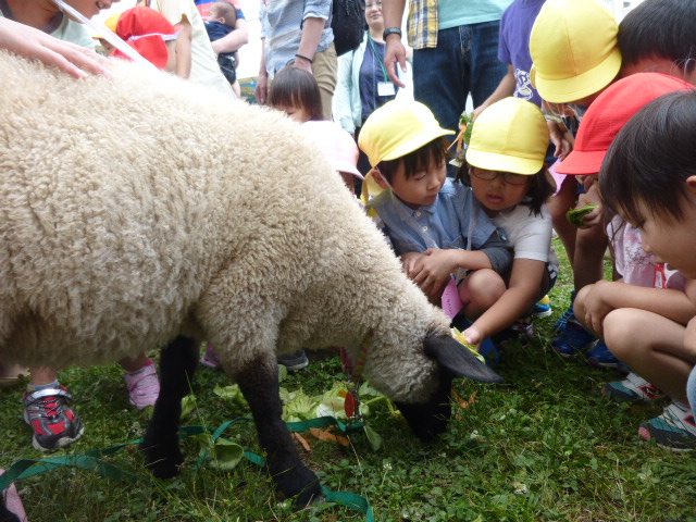 （2）羊と遊ぼうコーナーの画像1