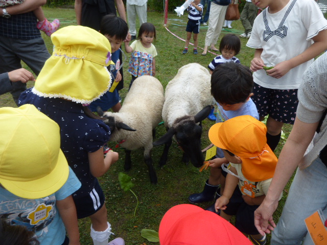 （2）羊と遊ぼうコーナーの画像4