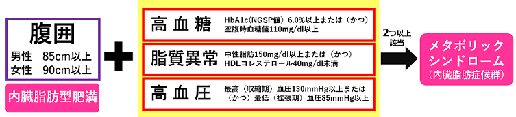 メタボリックシンドローム判定