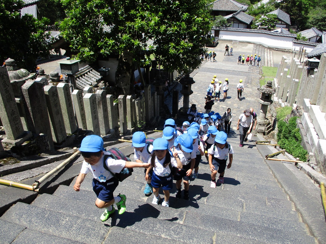 5月22日　二月堂から見た景色はきれいだったよの画像1