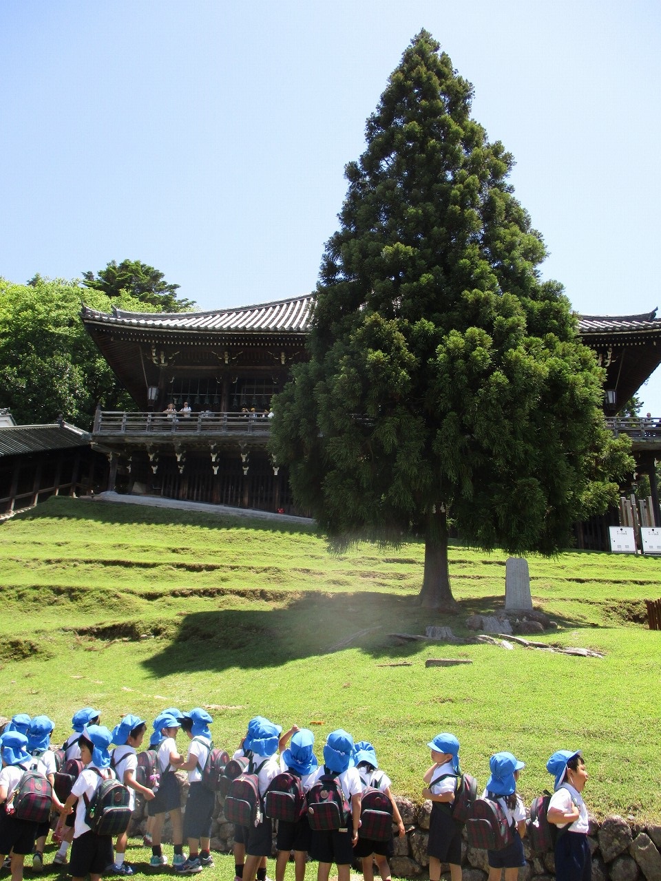 5月22日　二月堂から見た景色はきれいだったよの画像2