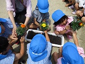 6月12日　JAさんと花を植えましたの画像2