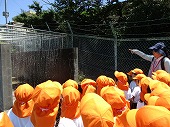 6月25日小学校のプールを見に行きましたの画像2