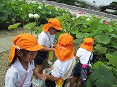 7月8日　喜光寺へ園外保育に行きましたの画像