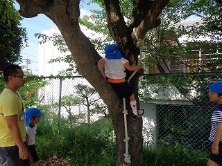 木登りをする5歳児の画像1
