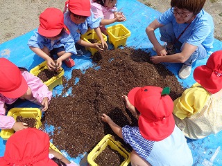 自分の植木鉢に土を入れる4歳児