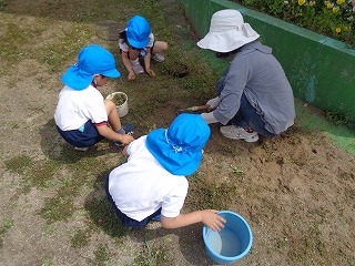 園庭の草引きをする5歳児