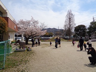 桜の下で記念写真をとる新入園児