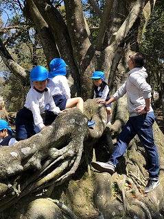 公園で木登りをする子どもたち