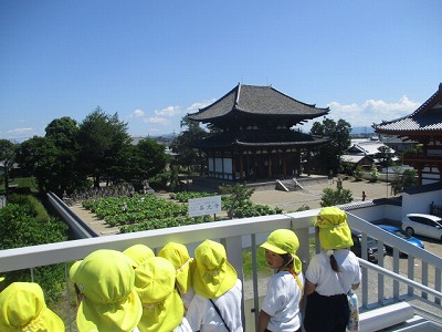 園外保育　6月25日の画像1