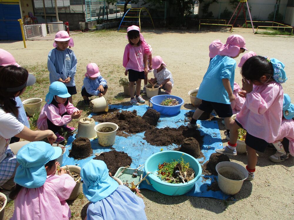 苗植え準備の画像1