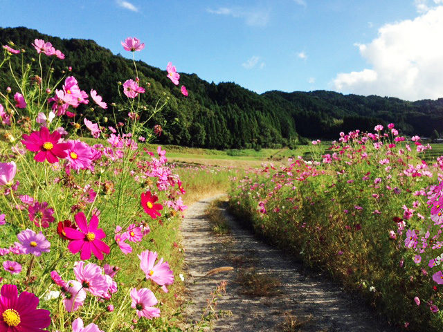 阪原市民農園(市営)の利用者を募集していますの画像2