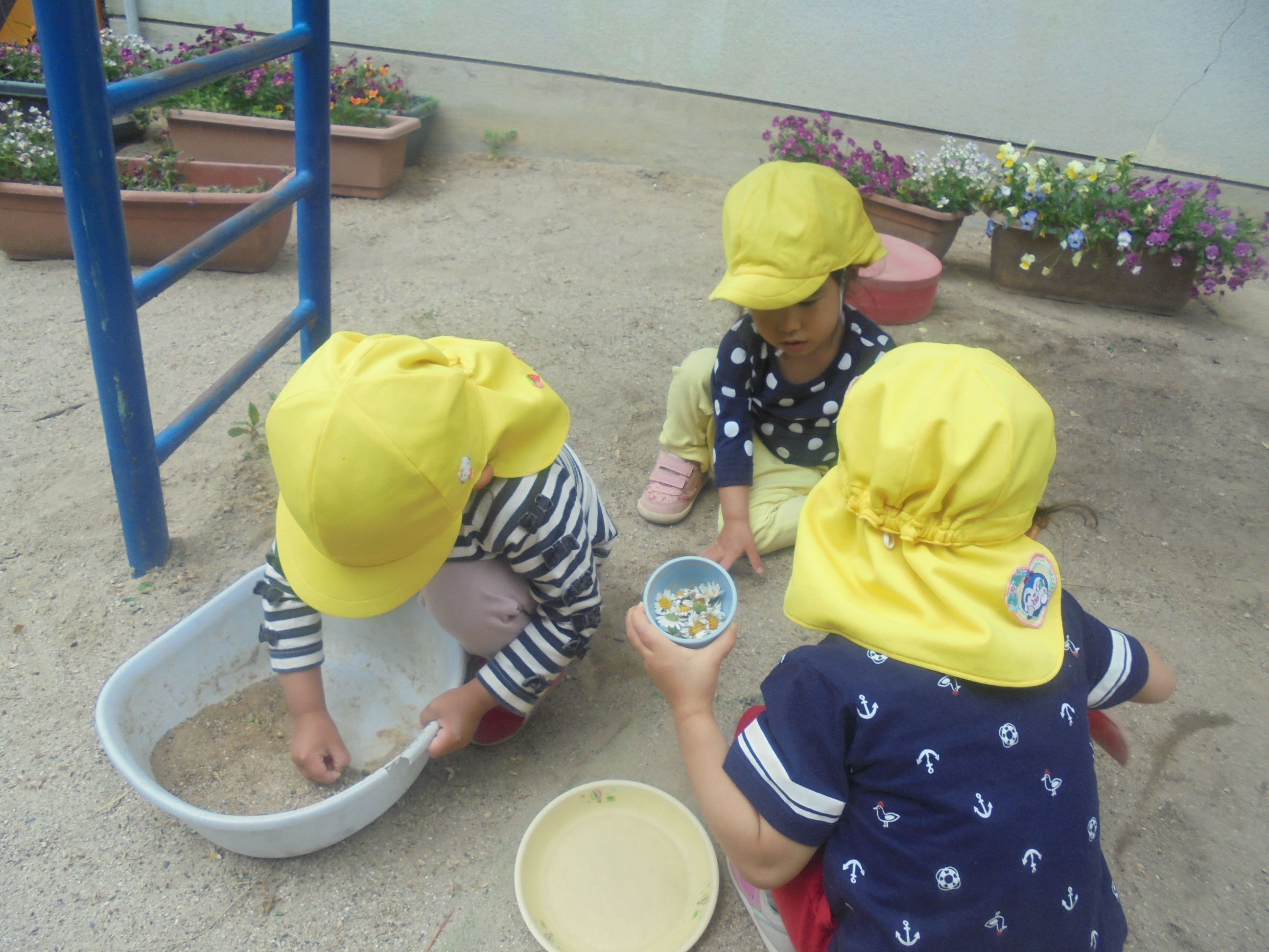 2歳児クラスの子ども達が園庭で虫探しや花びら集めをしている様子